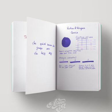 Rohrer&Klingner Schreibtinte, 50 мл, різні кольори, 50 мл, Cassia 410