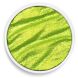 Finetec C060 Lime