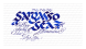 Diamine Ink 30мл, Blue Shades, 30 ml, Sargasso Sea